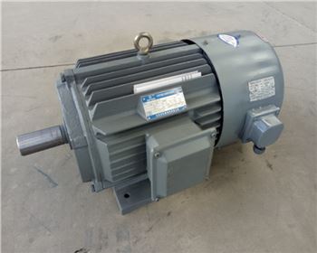 西安變頻三相異步電動機(jī)